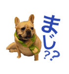 フレブル ななちゃん（個別スタンプ：7）