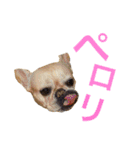 フレブル ななちゃん（個別スタンプ：8）