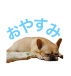フレブル ななちゃん（個別スタンプ：9）