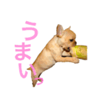 フレブル ななちゃん（個別スタンプ：16）