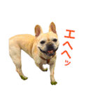 フレブル ななちゃん（個別スタンプ：17）