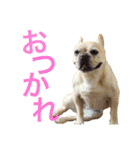 フレブル ななちゃん（個別スタンプ：23）