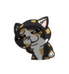 BlackBao the mix cat's daily life（個別スタンプ：14）