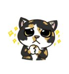 BlackBao the mix cat's daily life（個別スタンプ：16）