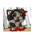 BlackBao the mix cat's daily life（個別スタンプ：17）