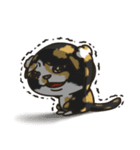 BlackBao the mix cat's daily life（個別スタンプ：21）