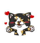 BlackBao the mix cat's daily life（個別スタンプ：25）