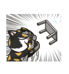 BlackBao the mix cat's daily life（個別スタンプ：31）