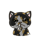 BlackBao the mix cat's daily life（個別スタンプ：33）