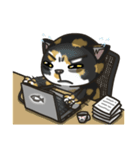 BlackBao the mix cat's daily life（個別スタンプ：34）