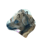 dogLEON（個別スタンプ：2）