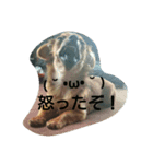 dogLEON（個別スタンプ：3）