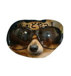 dogLEON（個別スタンプ：4）