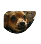 dogLEON（個別スタンプ：5）