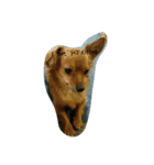 dogLEON（個別スタンプ：10）
