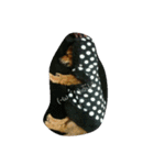 dogLEON（個別スタンプ：16）