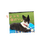 のーてぃー（個別スタンプ：2）