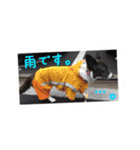のーてぃー（個別スタンプ：5）