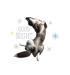 のーてぃー（個別スタンプ：17）