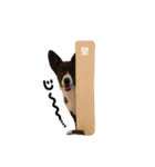 のーてぃー（個別スタンプ：19）