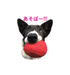 のーてぃー（個別スタンプ：38）