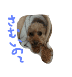 愛犬です（個別スタンプ：4）