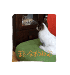 お茶目なGONN（個別スタンプ：8）