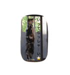 猫とほんわか日常会話（個別スタンプ：8）