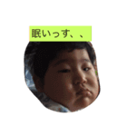 kota 2017（個別スタンプ：5）