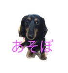 ミックちゃん（個別スタンプ：3）
