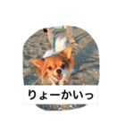 NO LIFE  NO JOY（個別スタンプ：6）