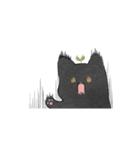 Daily Sprout Cat（個別スタンプ：5）