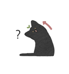 Daily Sprout Cat（個別スタンプ：8）