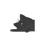 Daily Sprout Cat（個別スタンプ：9）