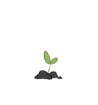 Daily Sprout Cat（個別スタンプ：14）