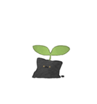 Daily Sprout Cat（個別スタンプ：15）