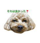クールなさくらさん（個別スタンプ：8）
