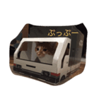 五茶ゴチャ生活（個別スタンプ：3）