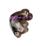 五茶ゴチャ生活（個別スタンプ：4）