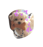 M家犬スタンプ（個別スタンプ：8）