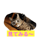 ツンデレジュン吉。。（個別スタンプ：7）