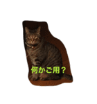 ツンデレジュン吉。。（個別スタンプ：14）