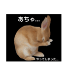 Yancha rabbit（個別スタンプ：40）