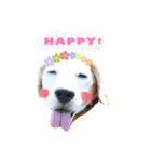 ビーグル犬のスタンプ〜ビート君〜（個別スタンプ：2）