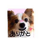 It is Pooh-chan（個別スタンプ：5）