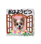 It is Pooh-chan（個別スタンプ：6）