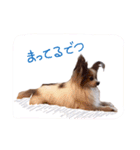 It is Pooh-chan（個別スタンプ：22）