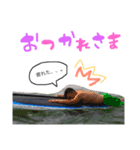 ym.mk（個別スタンプ：6）