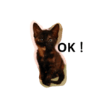 チョビとむぎ（個別スタンプ：4）