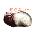 サラン〜（個別スタンプ：8）